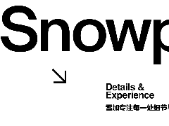 深圳雪加电子烟网站建设案例